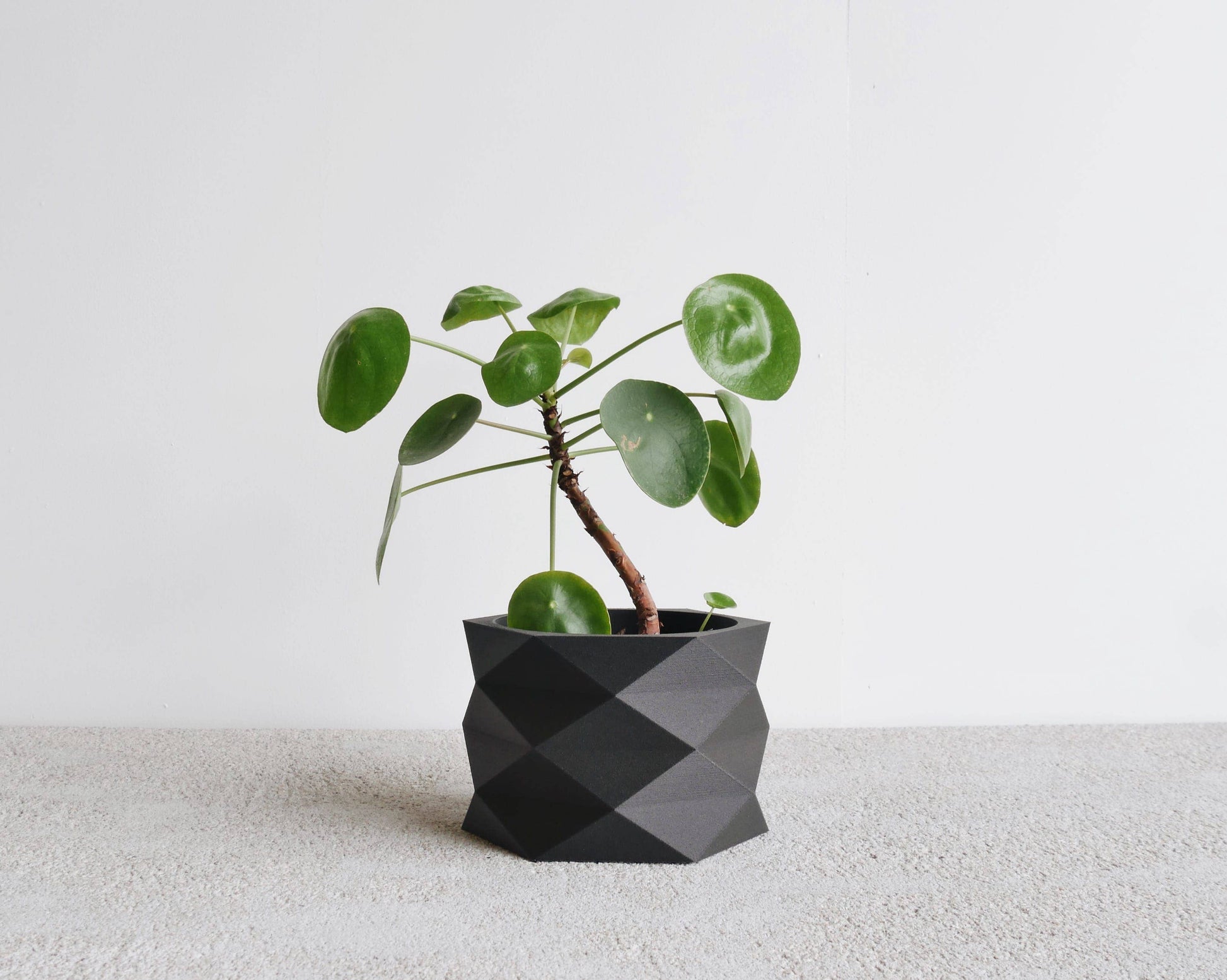 Diamant Indoor-Pflanzgefäß in Natur oder Schwarz
