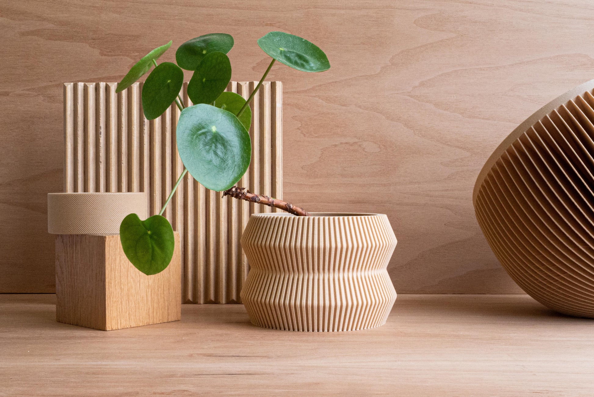 ITO Indoor-Pflanzgefäß – zusätzliche Produktansicht 5