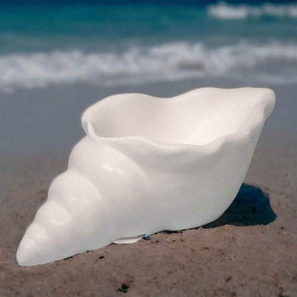Maritime Muschel-Deko – Ein Hauch von Strand für dein Zuhause - by SteinKunstWerk | HE aus nachhaltiger Herstellung