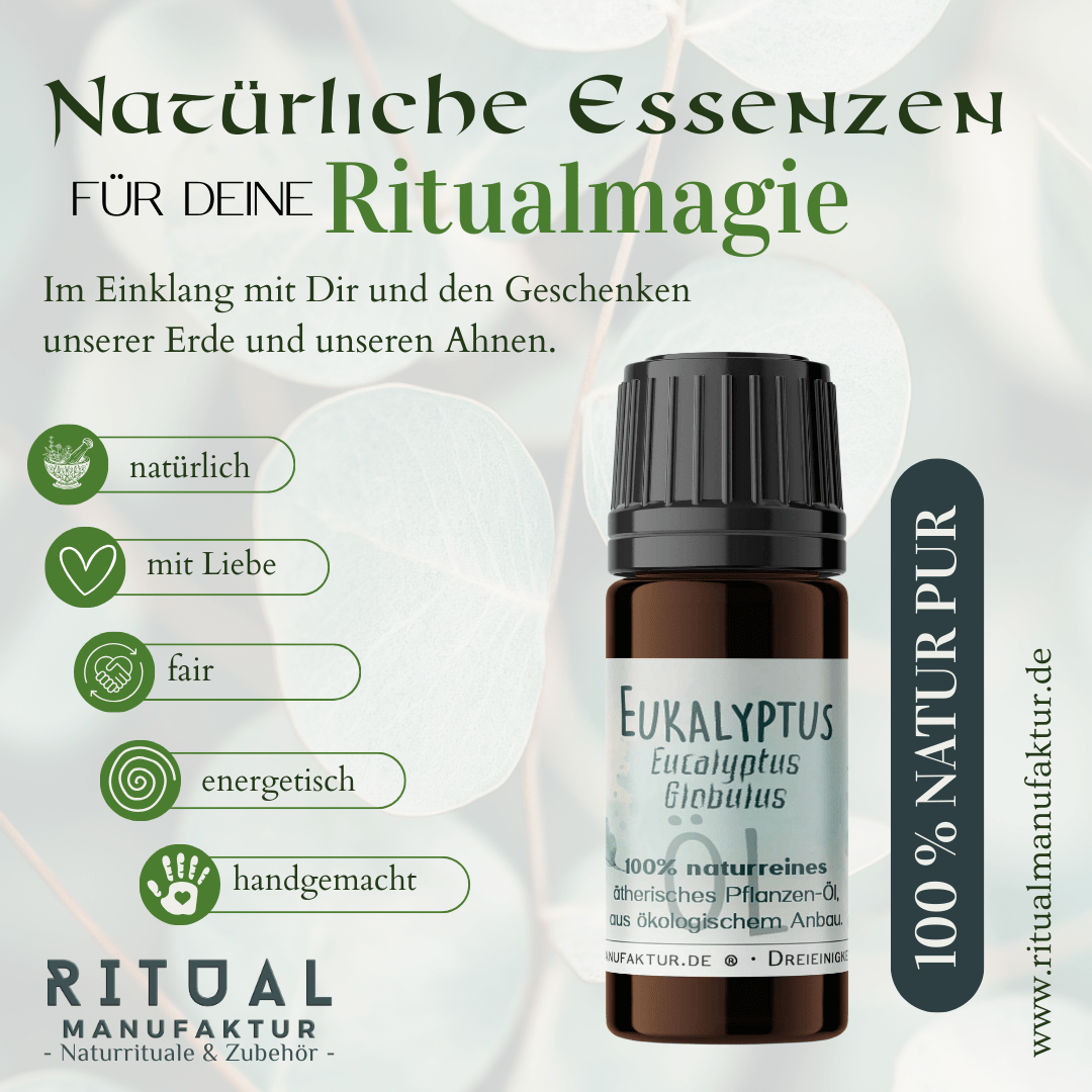 Eukalyptus ätherisches Öl – weitere Produktansicht 1