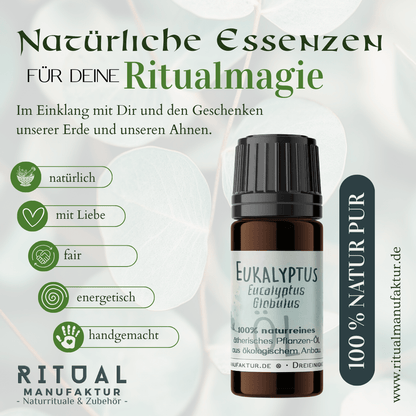 Eukalyptus ätherisches Öl – weitere Produktansicht 1
