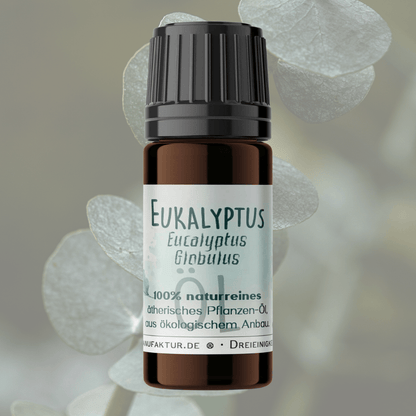 Eukalyptus ätherisches Öl – weitere Produktansicht 2