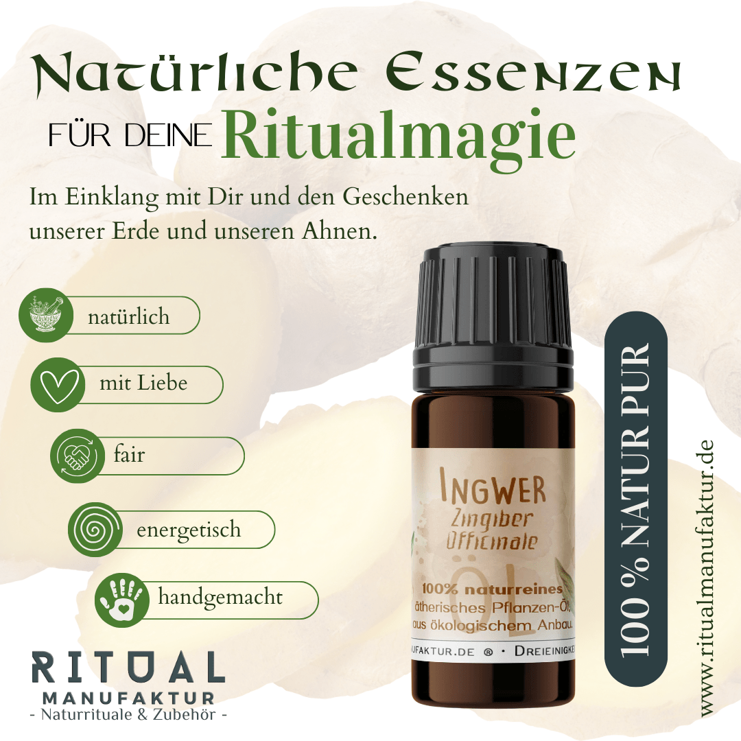 Ingwer ätherisches Öl – weitere Produktansicht 1
