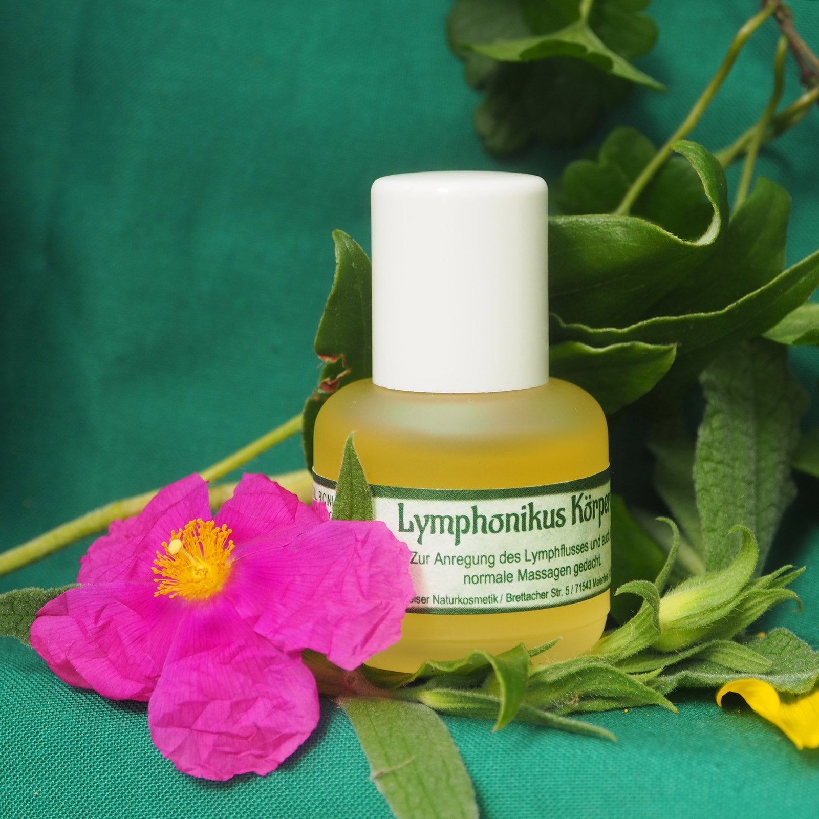 Lymphonikus Massageöl – Anwendung