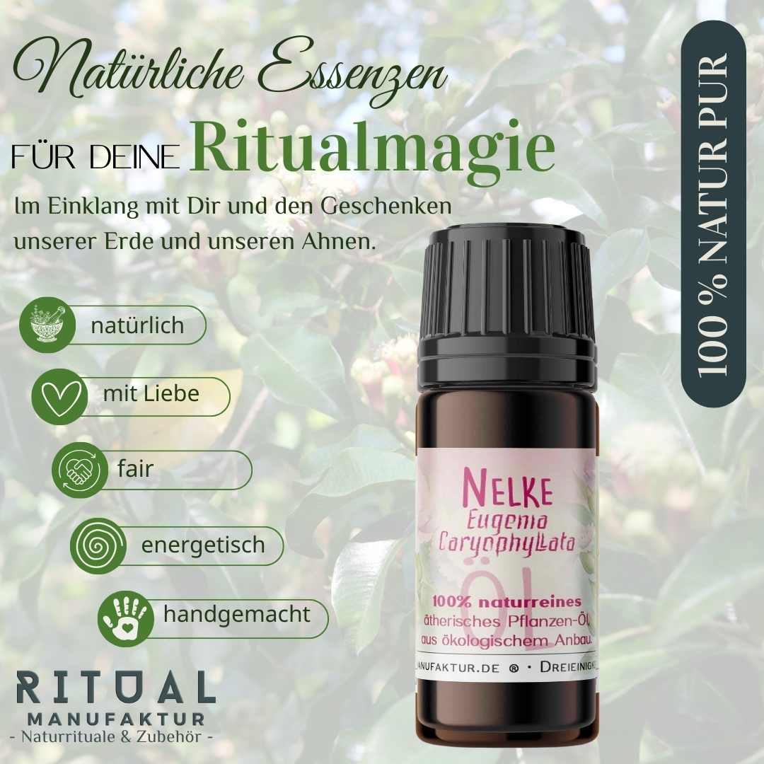 Nelke ätherisches Öl – weitere Produktansicht 1