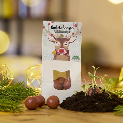 Rudolphnasen – Rote Blumenmurmeln zu Weihnachten