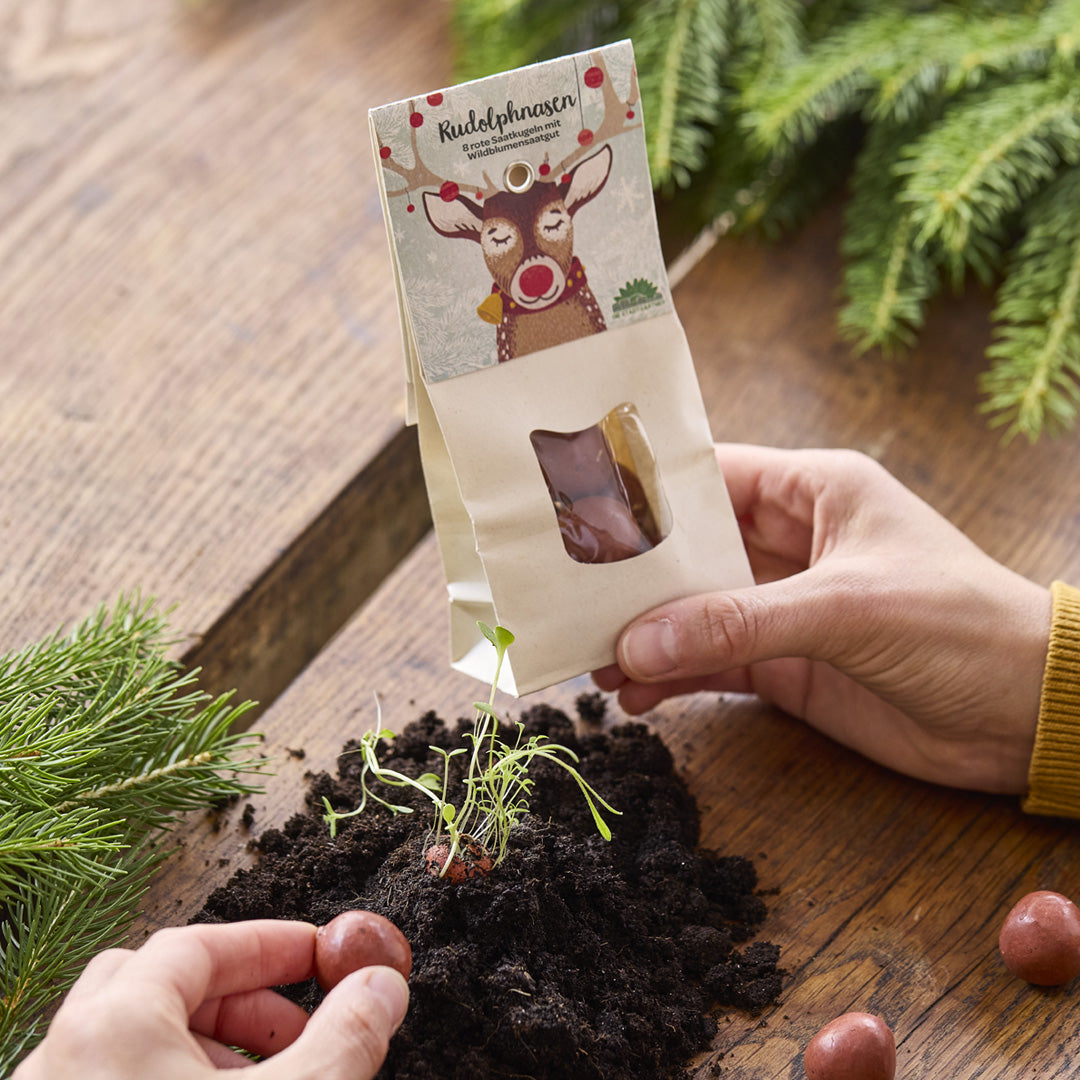 Rudolphnasen – Rote Blumenmurmeln zu Weihnachten