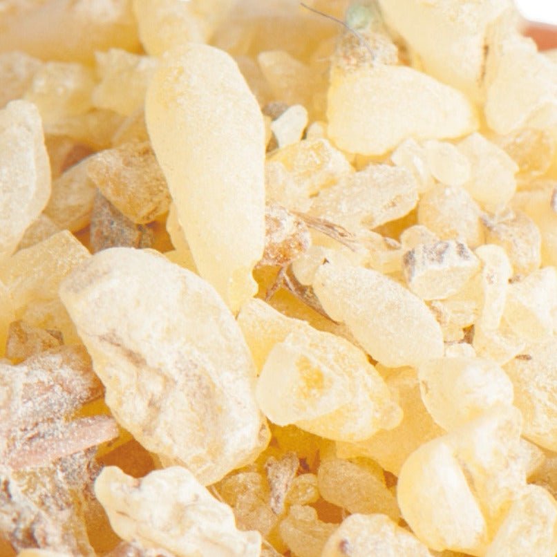 Sandarak Räucherharz – weitere Produktansicht 1