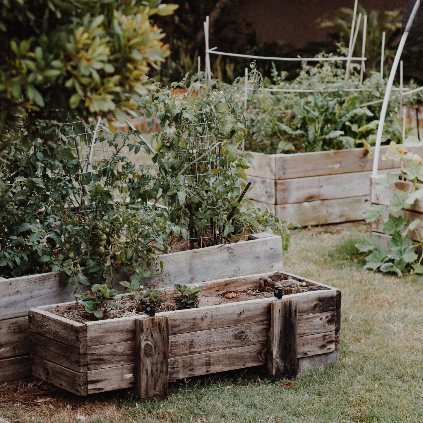 Gardening Collection – geurkaars met frisse tuingeur voor thuis