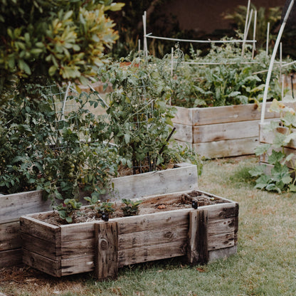Gardening Collection – geurkaars met frisse tuingeur voor thuis