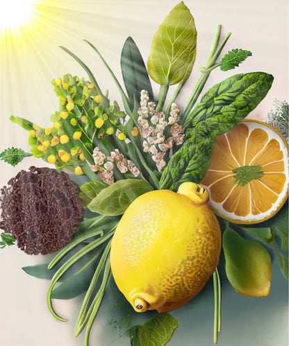 Bio ätherisches Öl „Sunshine in a Bottle“ – Sonnige Frische & neue Energie - by SteinKunstWerk | Autoduft aus nachhaltiger Herstellung
