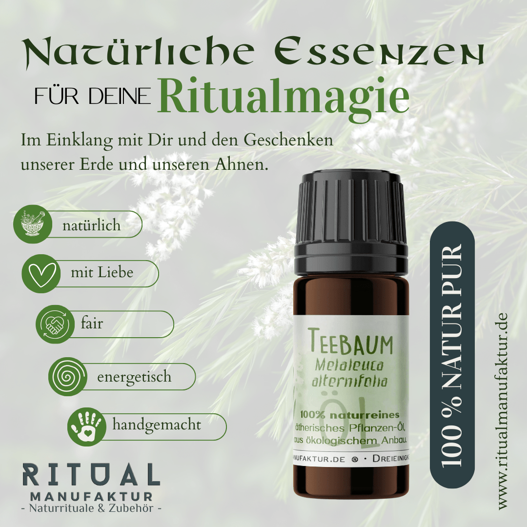 Teebaum ätherisches Öl – weitere Produktansicht 1