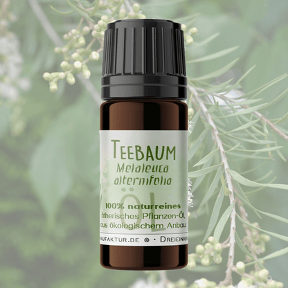Teebaum ätherisches Öl – weitere Produktansicht 2