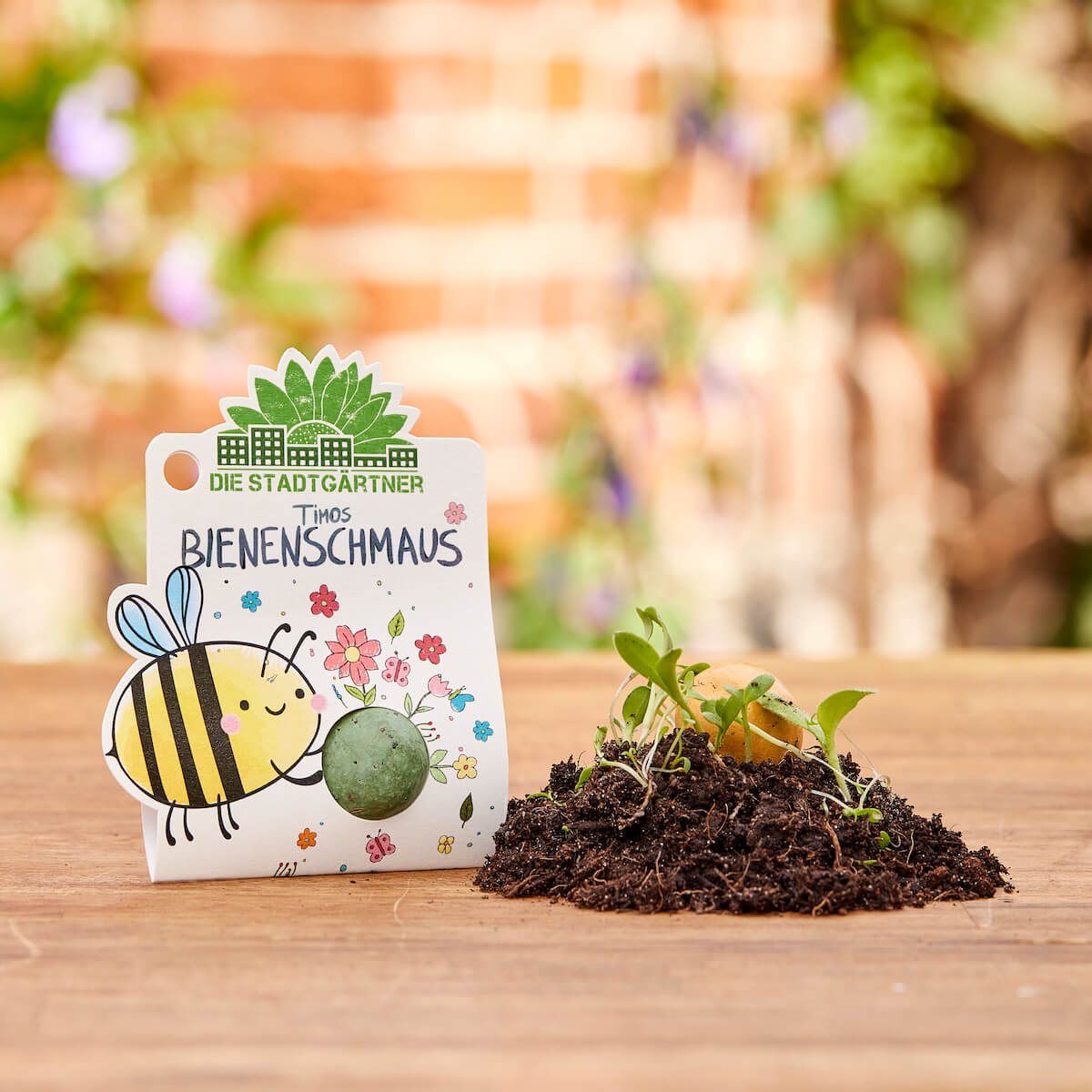 3 Blumenmurmeln – bunte Saatkugeln mit Wildblumen