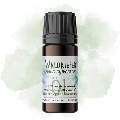 Waldkiefer ätherisches Öl – weitere Produktansicht 2