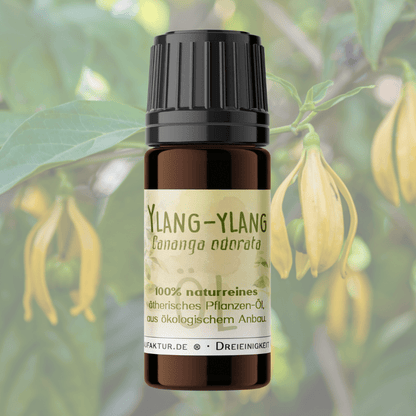 Ylang Ylang ätherisches Öl – weitere Produktansicht 2